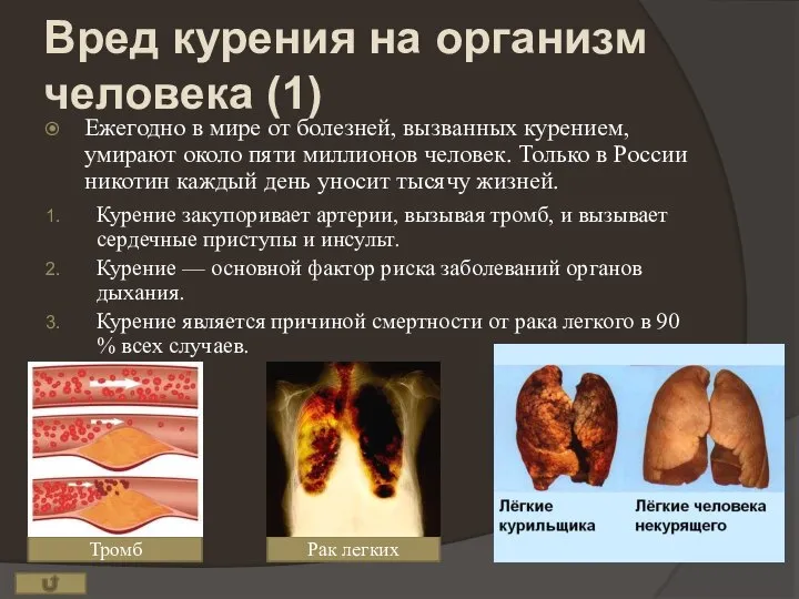 Рак легких Тромб Вред курения на организм человека (1) Ежегодно в мире