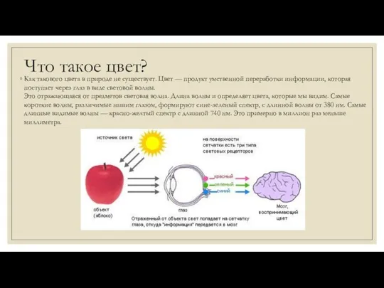 Что такое цвет? Как такового цвета в природе не существует. Цвет —