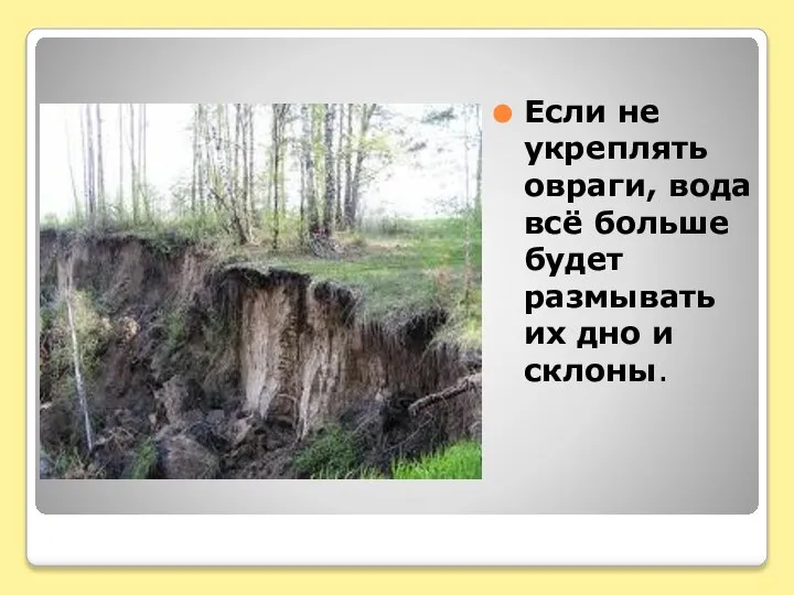 Если не укреплять овраги, вода всё больше будет размывать их дно и склоны.