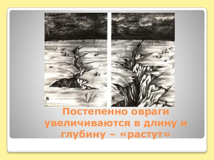 Постепенно овраги увеличиваются в длину и глубину – «растут»