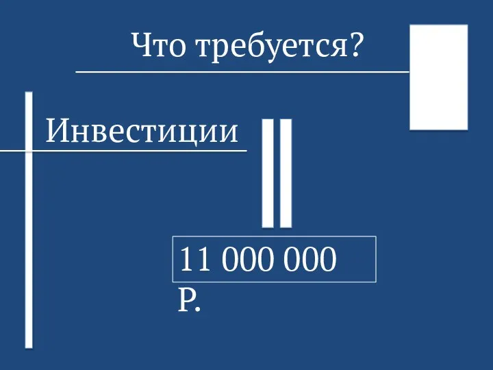 Что требуется? Инвестиции 11 000 000 Р.