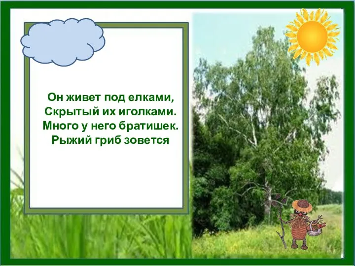 Он живет под елками, Скрытый их иголками. Много у него братишек. Рыжий гриб зовется