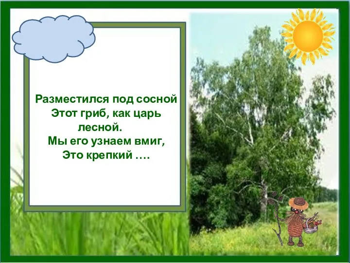 Разместился под сосной Этот гриб, как царь лесной. Мы его узнаем вмиг, Это крепкий ….