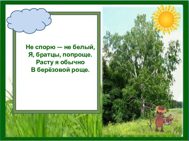 Не спорю — не белый, Я, братцы, попроще. Расту я обычно В берёзовой роще.