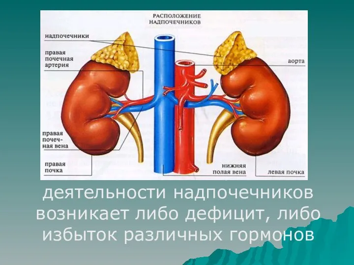 В результате нарушения деятельности надпочечников возникает либо дефицит, либо избыток различных гормонов