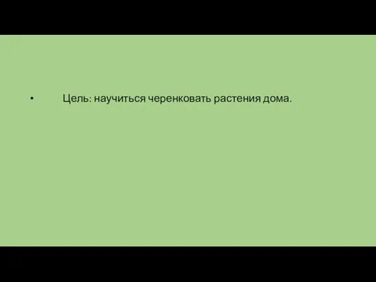 Цель: научиться черенковать растения дома.