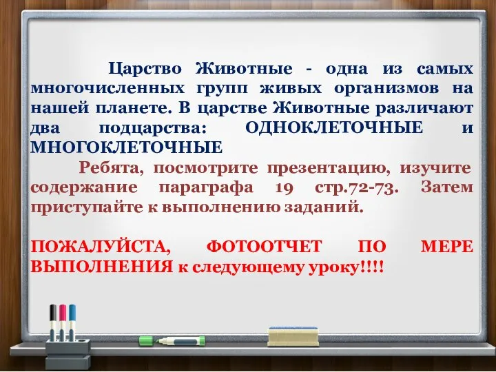 Царство Животные - одна из самых многочисленных групп живых организмов на нашей