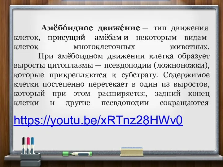 Амёбóидное движéние — тип движения клеток, присущий амёбам и некоторым видам клеток