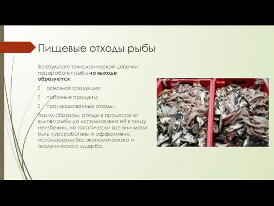 Пищевые отходы рыбы В результате технологической цепочки переработки рыбы на выходе образуются: