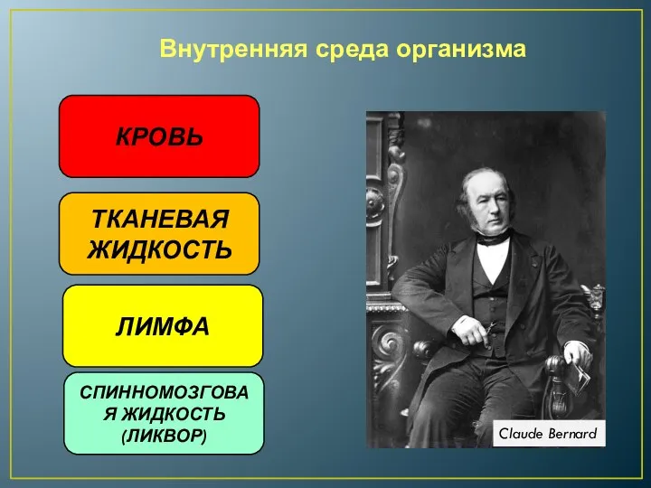 Внутренняя среда организма КРОВЬ ЛИМФА ТКАНЕВАЯ ЖИДКОСТЬ СПИННОМОЗГОВАЯ ЖИДКОСТЬ (ЛИКВОР)