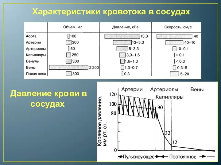 Характеристики кровотока в сосудах Давление крови в сосудах