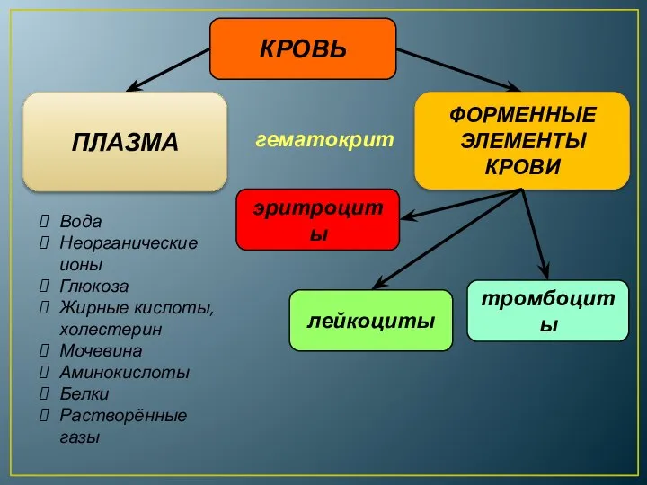 Вода Неорганические ионы Глюкоза Жирные кислоты, холестерин Мочевина Аминокислоты Белки Растворённые газы гематокрит