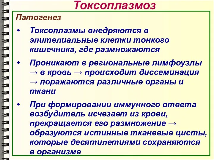 Токсоплазмоз Патогенез Токсоплазмы внедряются в эпителиальные клетки тонкого кишечника, где размножаются Проникают