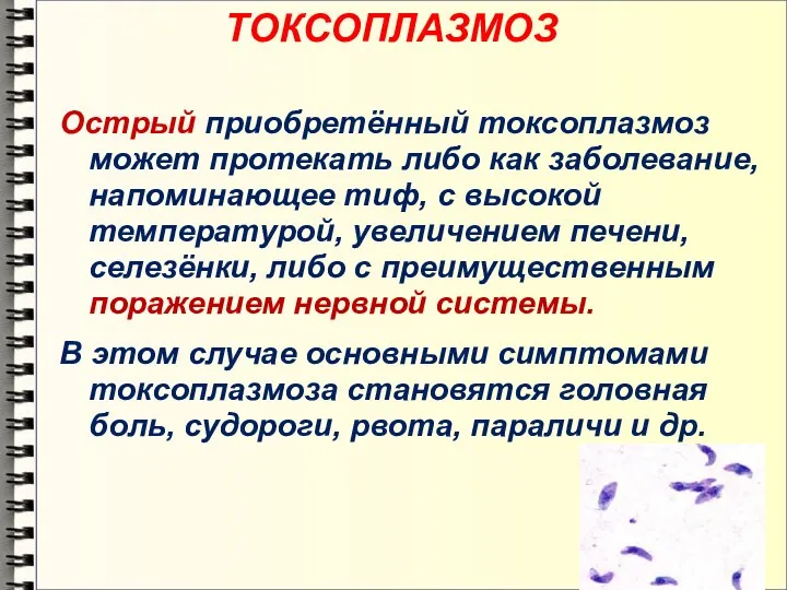 ТОКСОПЛАЗМОЗ Острый приобретённый токсоплазмоз может протекать либо как заболевание, напоминающее тиф, с