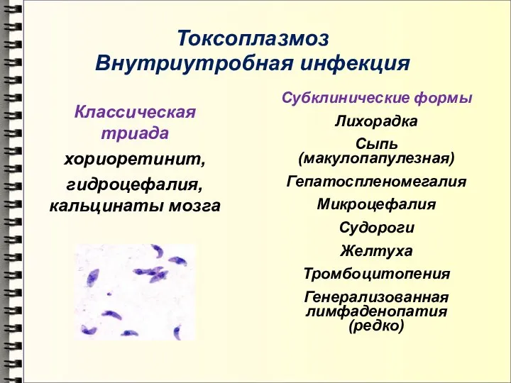 Токсоплазмоз Внутриутробная инфекция Субклинические формы Лихорадка Сыпь (макулопапулезная) Гепатоспленомегалия Микроцефалия Судороги Желтуха