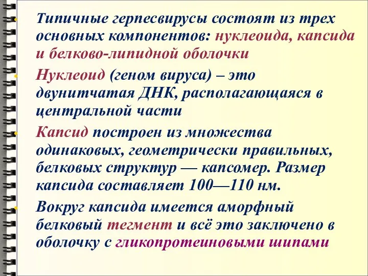 Типичные герпесвирусы состоят из трех основных компонентов: нуклеоида, капсида и белково-липидной оболочки