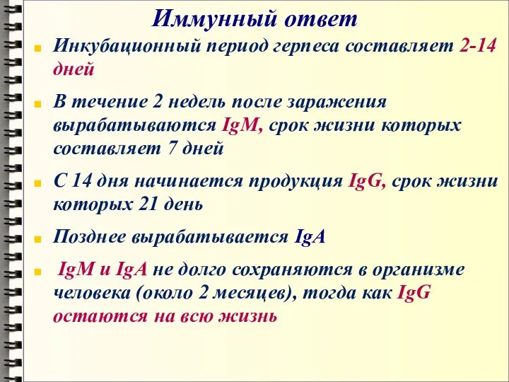 Иммунный ответ Инкубационный период герпеса составляет 2-14 дней В течение 2 недель