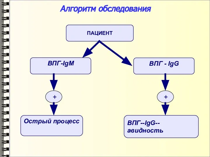 Алгоритм обследования ПАЦИЕНТ ВПГ - IgG ВПГ-IgM ВПГ--IgG--авидность + Острый процесс +