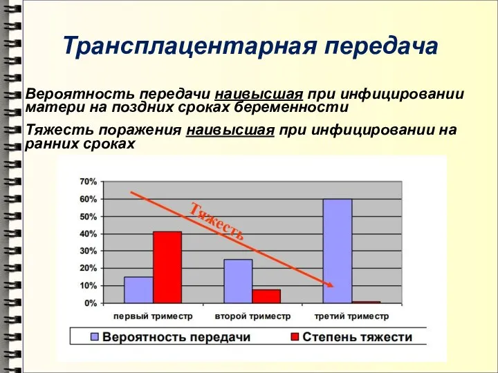 Трансплацентарная передача Вероятность передачи наивысшая при инфицировании матери на поздних сроках беременности