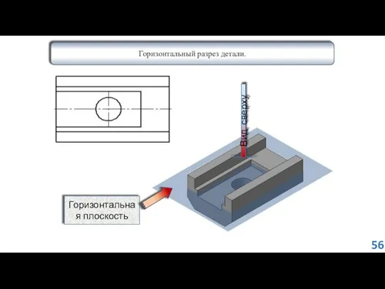 Горизонтальный разрез детали. Вид сверху Горизонтальная плоскость 56