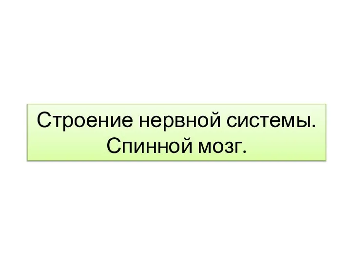 Строение нервной системы. Спинной мозг.