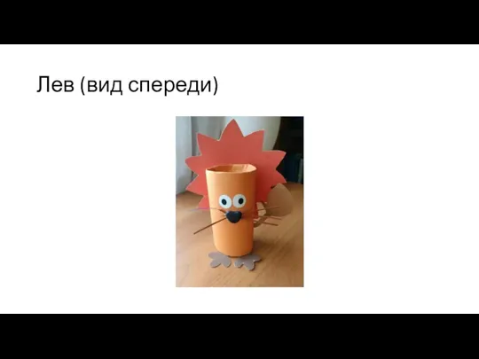 Лев (вид спереди)