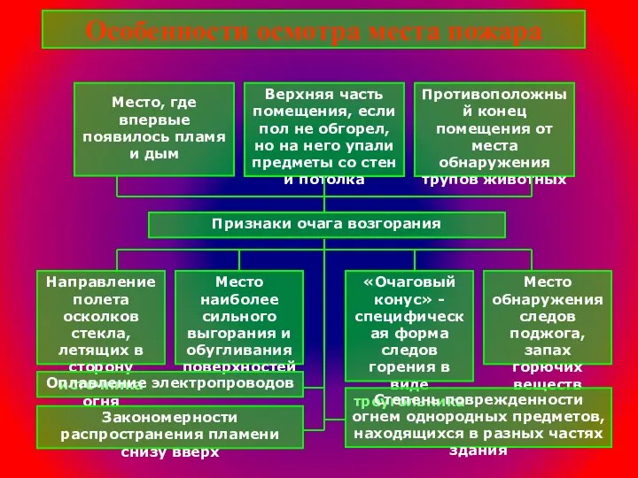 Особенности осмотра места пожара Признаки очага возгорания Место, где впервые появилось пламя