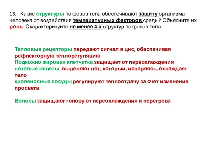 13. Какие структуры покровов тела обеспечивают защиту организма человека от воздействия температурных