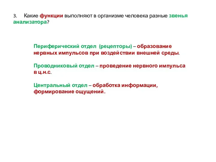 3. Какие функции выполняют в организме человека разные звенья анализатора? Периферический отдел