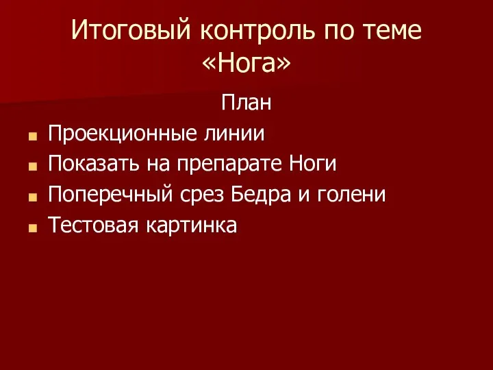 Итоговый контроль по теме «Нога» План Проекционные линии Показать на препарате Ноги