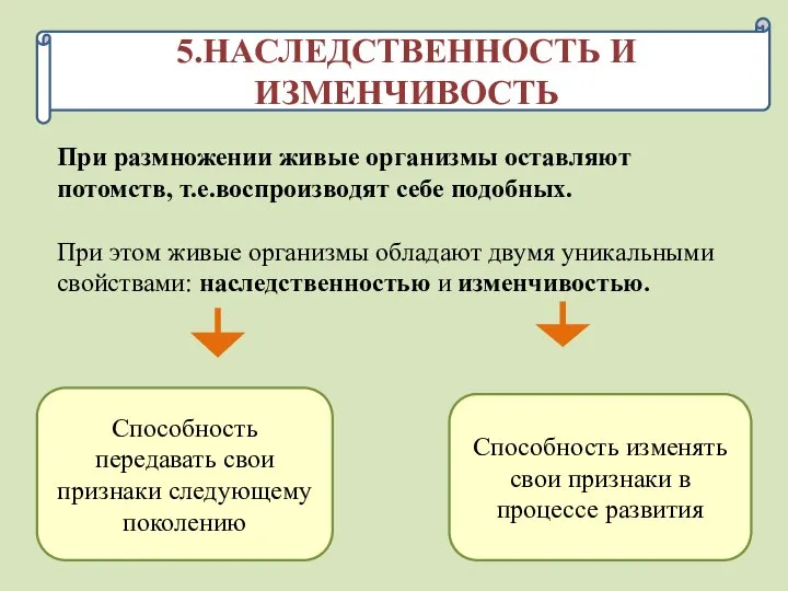 5.НАСЛЕДСТВЕННОСТЬ И ИЗМЕНЧИВОСТЬ При размножении живые организмы оставляют потомств, т.е.воспроизводят себе подобных.