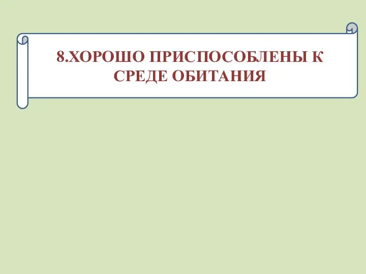 8.ХОРОШО ПРИСПОСОБЛЕНЫ К СРЕДЕ ОБИТАНИЯ