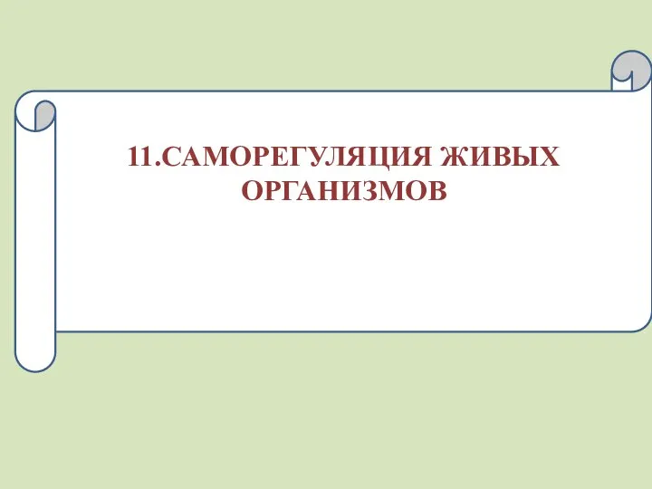 11.САМОРЕГУЛЯЦИЯ ЖИВЫХ ОРГАНИЗМОВ