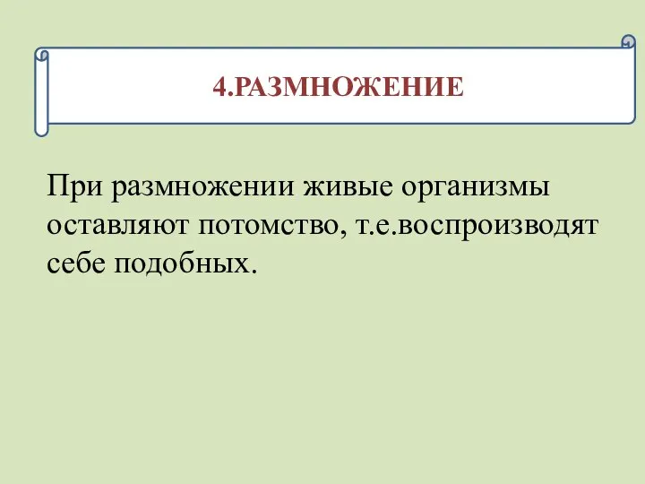 4.РАЗМНОЖЕНИЕ При размножении живые организмы оставляют потомство, т.е.воспроизводят себе подобных.