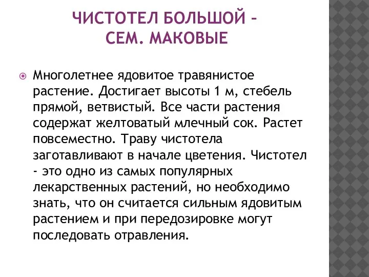 ЧИСТОТЕЛ БОЛЬШОЙ – СЕМ. МАКОВЫЕ Многолетнее ядовитое травянистое растение. Достигает высоты 1