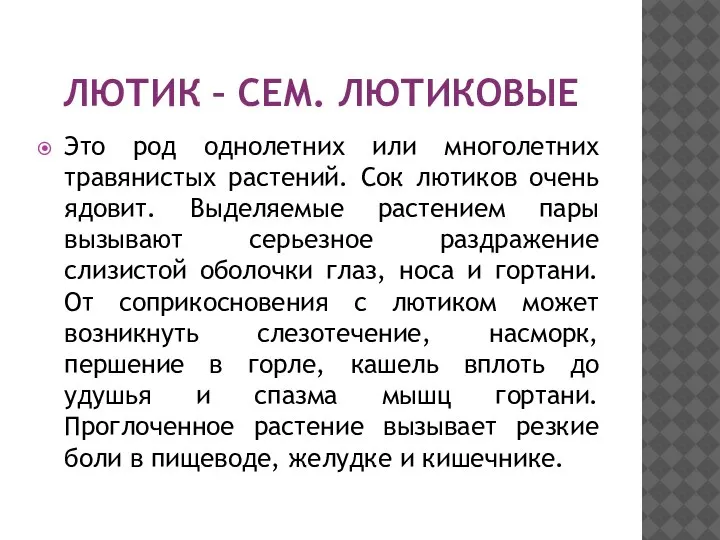 ЛЮТИК – СЕМ. ЛЮТИКОВЫЕ Это род однолетних или многолетних травянистых растений. Сок