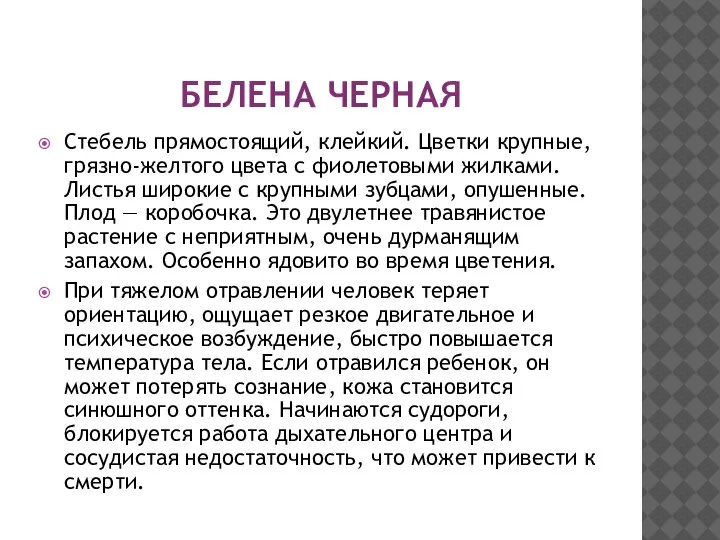 БЕЛЕНА ЧЕРНАЯ Стебель прямостоящий, клейкий. Цветки крупные, грязно-желтого цвета с фиолетовыми жилками.