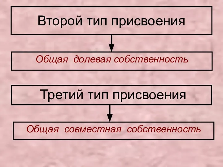 Второй тип присвоения Общая долевая собственность Третий тип присвоения Общая совместная собственность