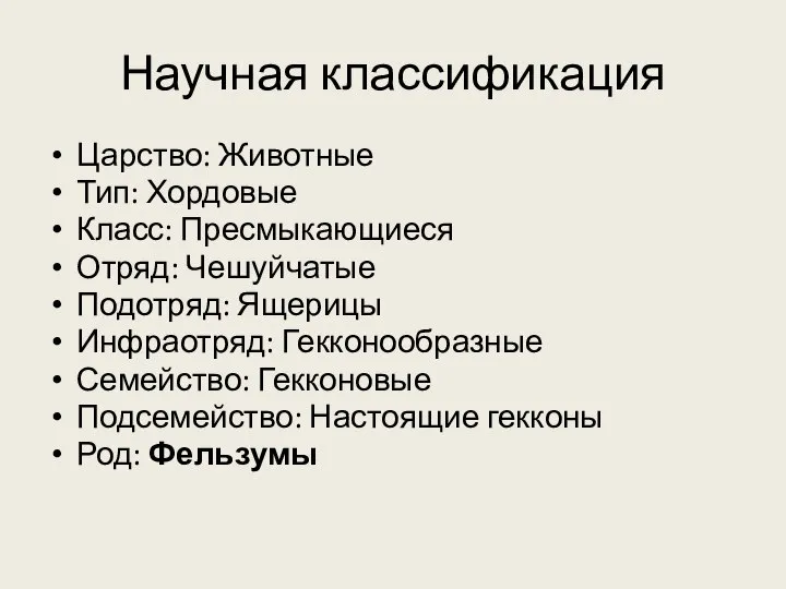 Научная классификация Царство: Животные Тип: Хордовые Класс: Пресмыкающиеся Отряд: Чешуйчатые Подотряд: Ящерицы