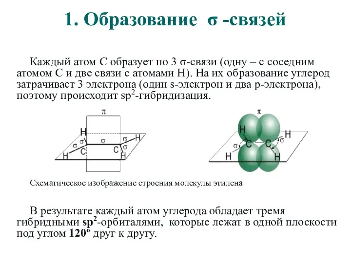 1. Образование σ -связей Каждый атом С образует по 3 σ-связи (одну