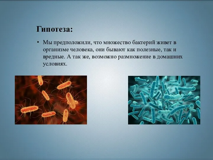 Гипотеза: Мы предположили, что множество бактерий живет в организме человека, они бывают