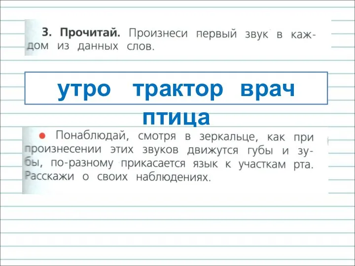 утро трактор врач птица