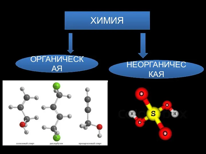 ХИМИЯ ОРГАНИЧЕСКАЯ НЕОРГАНИЧЕСКАЯ