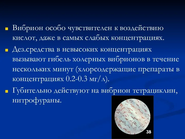 Вибрион особо чувствителен к воздействию кислот, даже в самых слабых концентрациях. Дез.средства