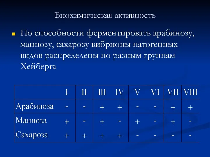 Биохимическая активность По способности ферментировать арабинозу, маннозу, сахарозу вибрионы патогенных видов распределены по разным группам Хейберга