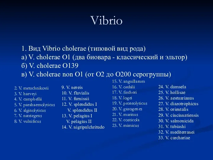 Vibrio 2. V. metschnikovii 3. V. harveyi 4. V. campbellii 5. V.