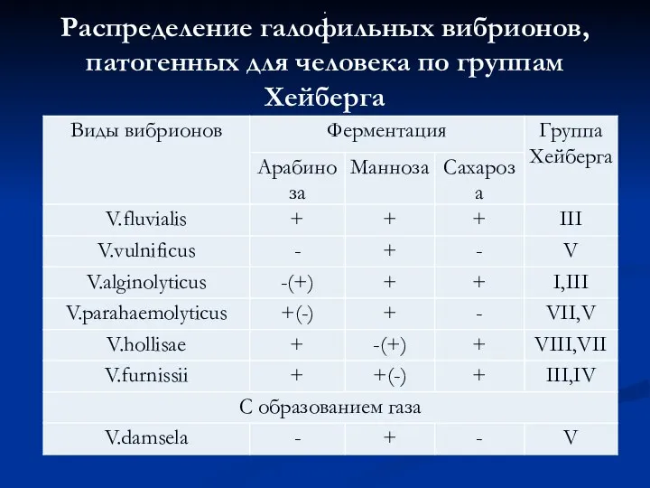 Распределение галофильных вибрионов, патогенных для человека по группам Хейберга .