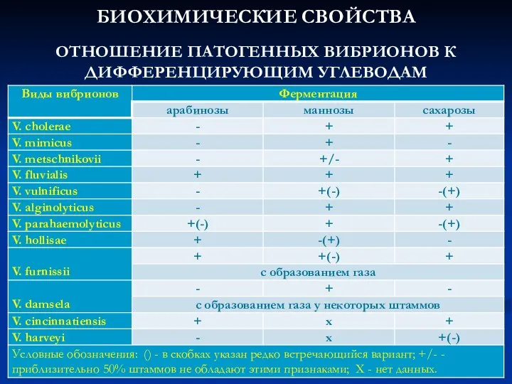 БИОХИМИЧЕСКИЕ СВОЙСТВА ОТНОШЕНИЕ ПАТОГЕННЫХ ВИБРИОНОВ К ДИФФЕРЕНЦИРУЮЩИМ УГЛЕВОДАМ