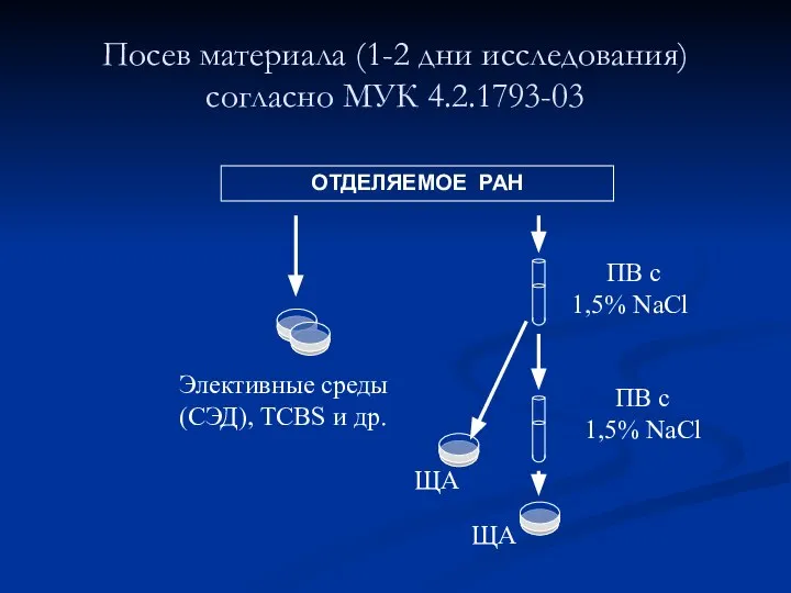 Посев материала (1-2 дни исследования) согласно МУК 4.2.1793-03 ОТДЕЛЯЕМОЕ РАН Элективные среды