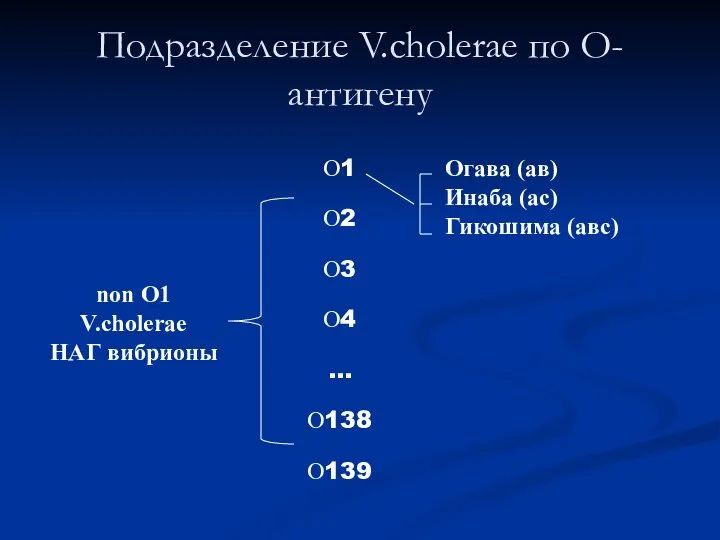 Подразделение V.cholerae по О-антигену non O1 V.cholerae НАГ вибрионы Огава (ав) Инаба (ас) Гикошима (авс)